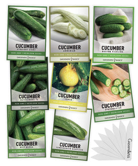 Gardeners Basics Armenian cucumber seeds for burpless crunch in salads.