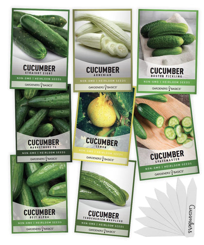 Gardeners Basics Armenian cucumber seeds for burpless crunch in salads.