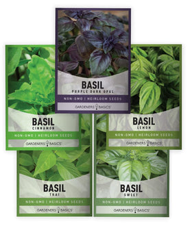 Gardeners Basics Basil Seeds Cinnamon – ideal for indoor herb gardens and fragrant leaves.