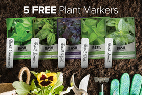 Gardeners Basics Basil Seeds Lemon – bright aroma for salads and pasta.