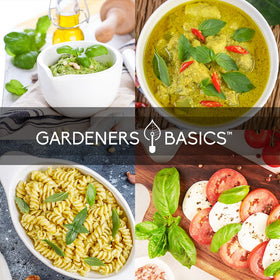 Gardeners Basics Basil Seeds Sweet – classic basil for pizzas, sauces, and sandwiches.