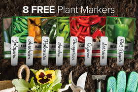 Gardeners Basics Bell Pepper seeds for planting, versatile sweet peppers