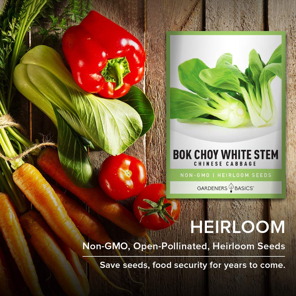 Gardeners Basics bok choy ready for harvest with vibrant leaves.