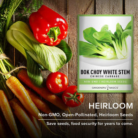 Gardeners Basics bok choy ready for harvest with vibrant leaves.