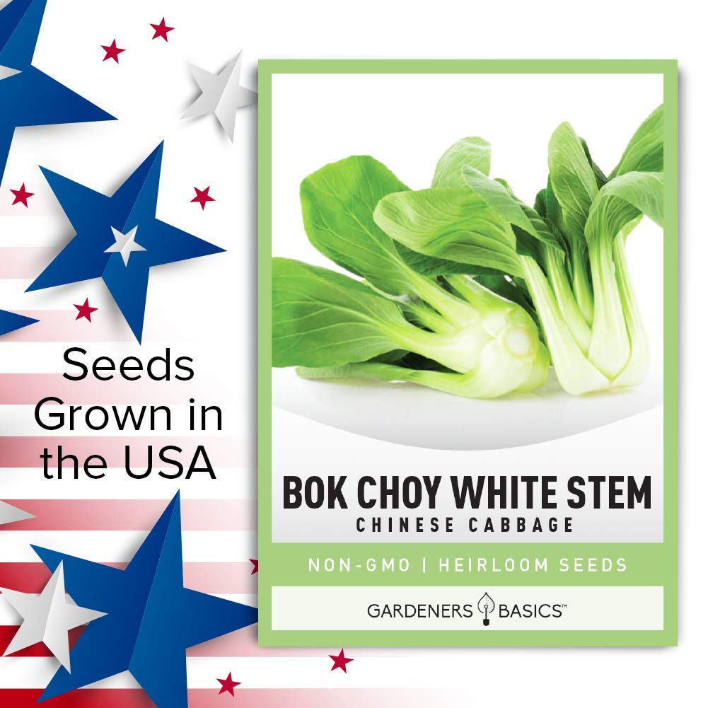 Gardeners Basics bok choy growing in garden bed with lush green leaves.