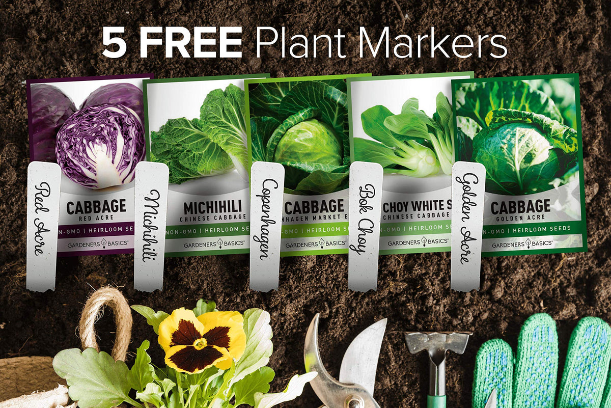 Gardeners Basics Bok Choy Pak Choi seed packet for quick greens at home.