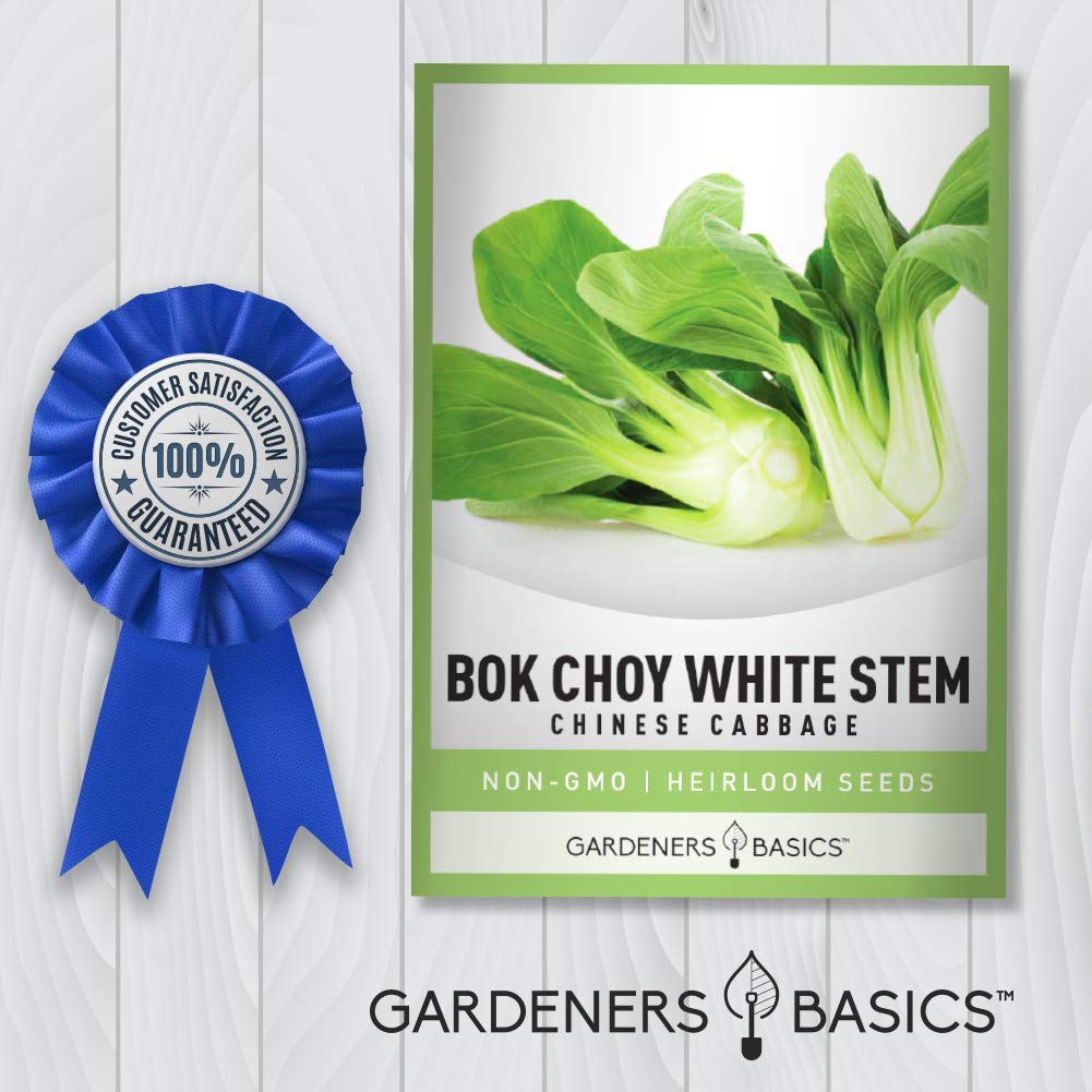 Gardeners Basics bok choy stems forming a bulb at base.