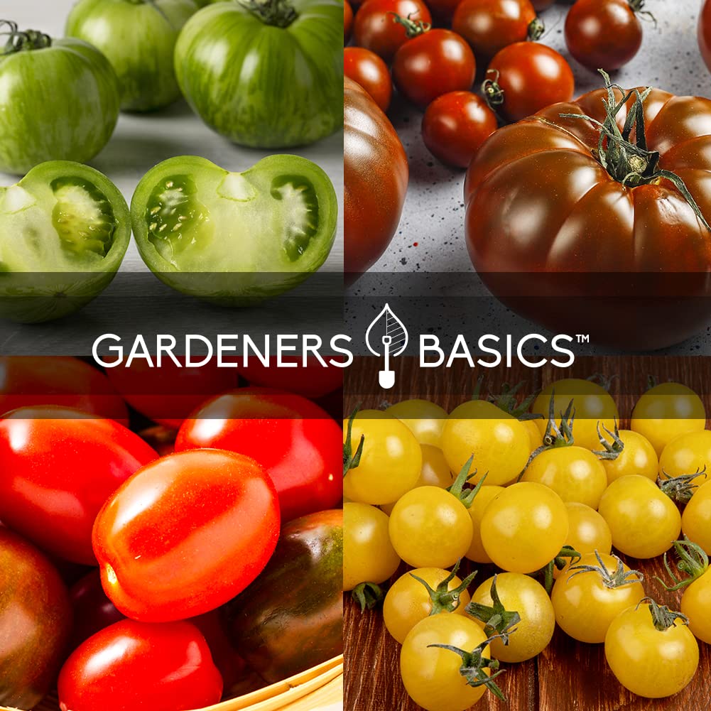 Gardeners Basics Brandywine Pink tomato seeds for beefsteak slicing.