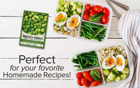 Gardeners Basics Brussels sprouts plants harvest-ready on stalk for seasonal home meals
