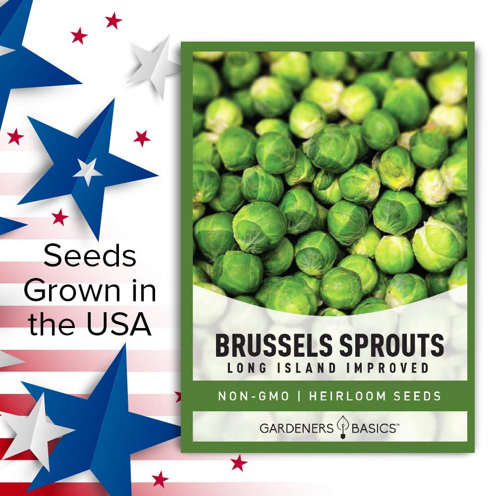 Gardeners Basics Brussels sprouts roasted dish idea on plate inspires home cooking