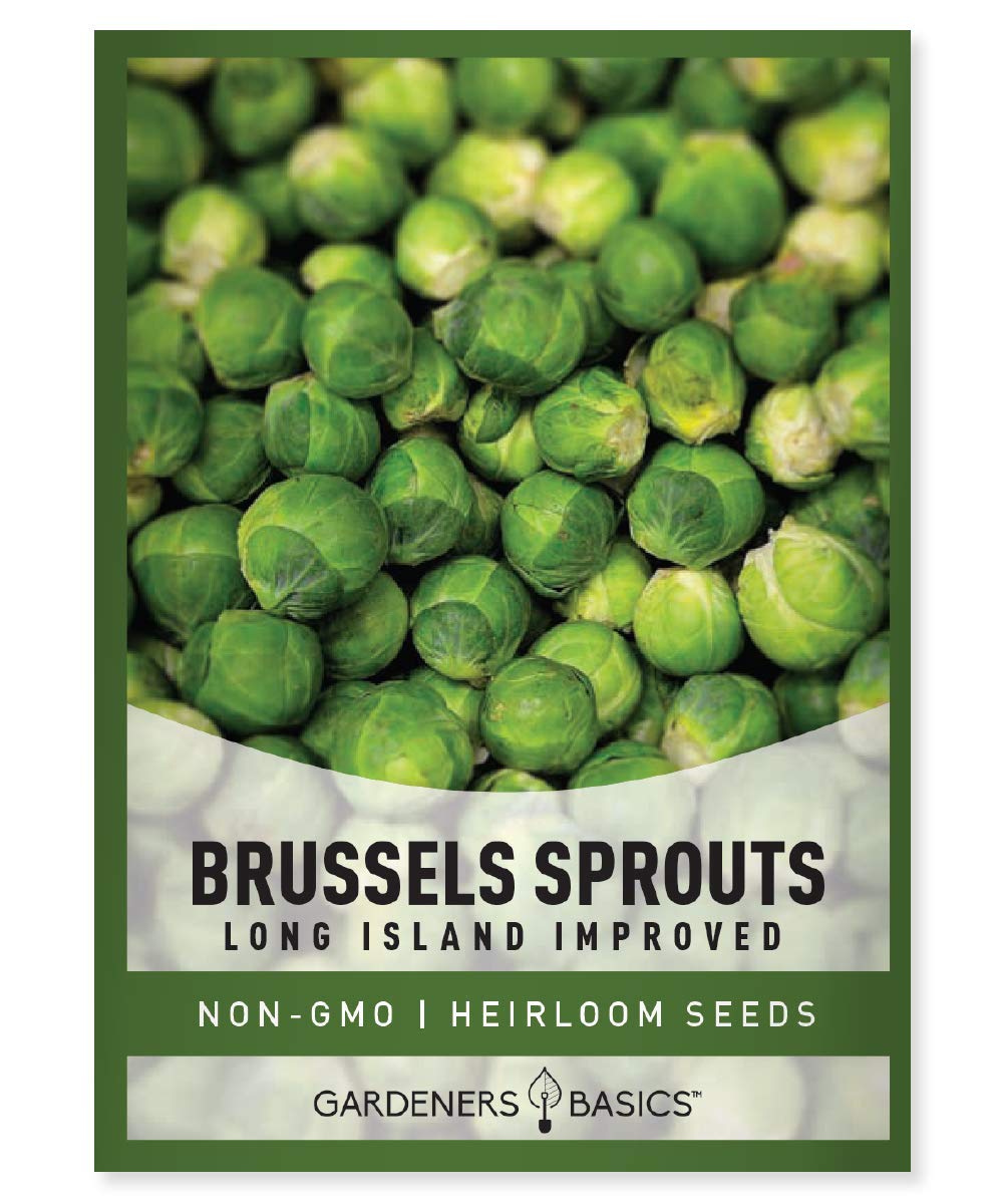 Gardeners Basics Brussels sprouts seeds packet for home gardens, ideal for heirloom yields