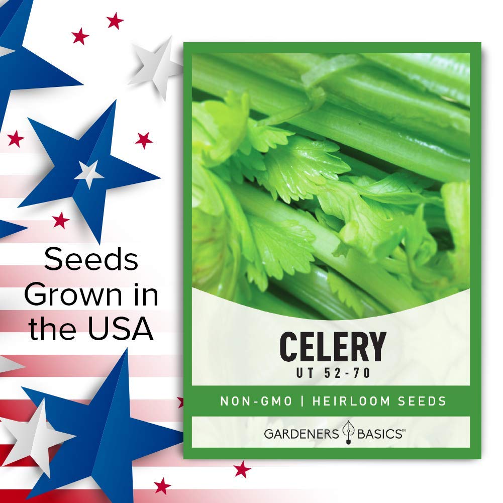 Gardeners Basics Celery 52-70 cold-tolerant variety for spring and fall harvests.