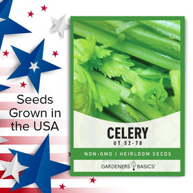 Gardeners Basics Celery 52-70 cold-tolerant variety for spring and fall harvests.