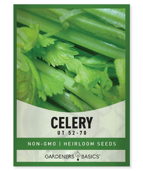Gardeners Basics Celery 52-70 seed packet, ideal for planning a cool-season garden.