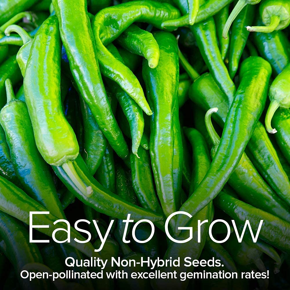 Gardeners Basics easy-to-grow pepper seeds for beginners.