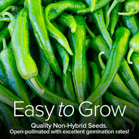 Gardeners Basics easy-to-grow pepper seeds for beginners.