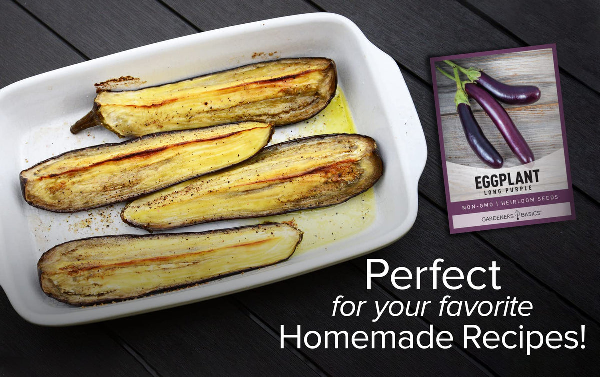 Gardeners Basics harvest-ready long purple eggplant on the plant.