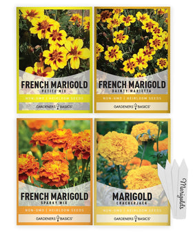 Gardeners Basics French Marigold Petite Mix seeds ready for easy germination and bright blooms.