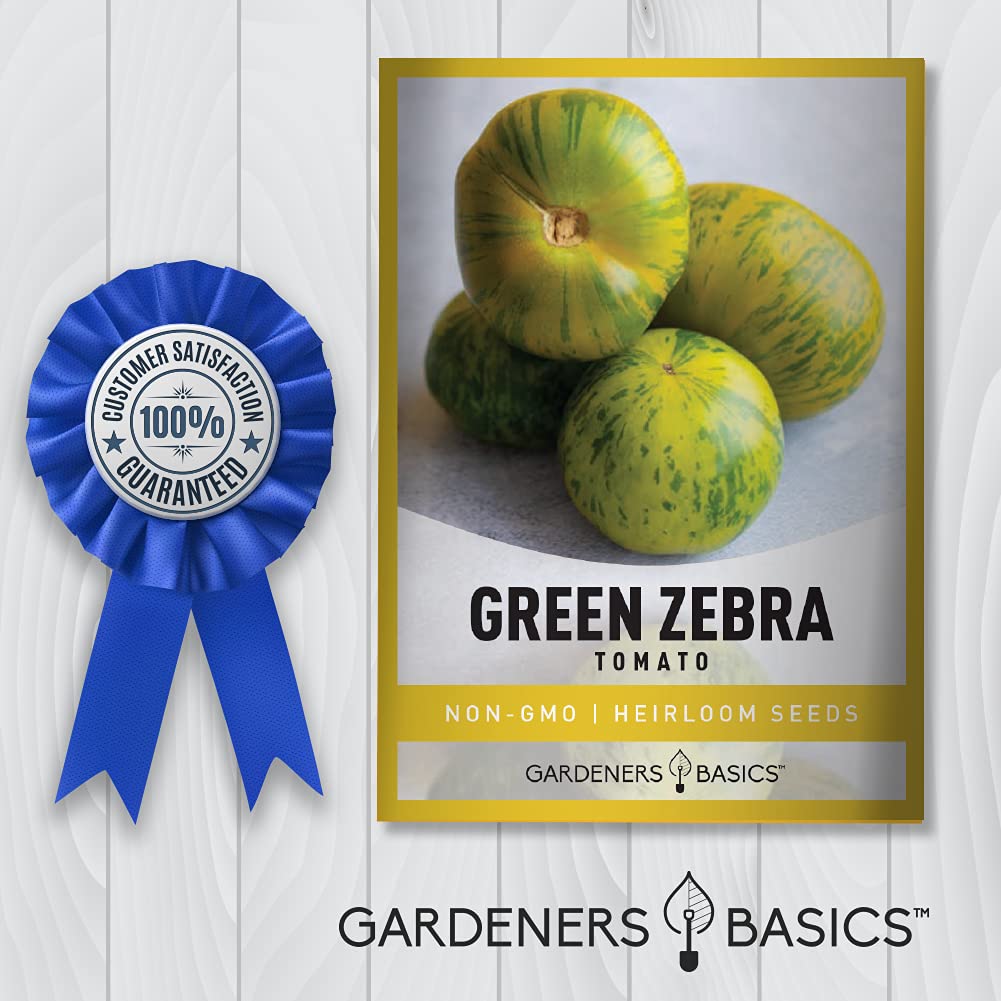 Gardeners Basics Green Zebra ripe tomatoes, harvest-ready 2-inch fruit for fresh sandwiches.