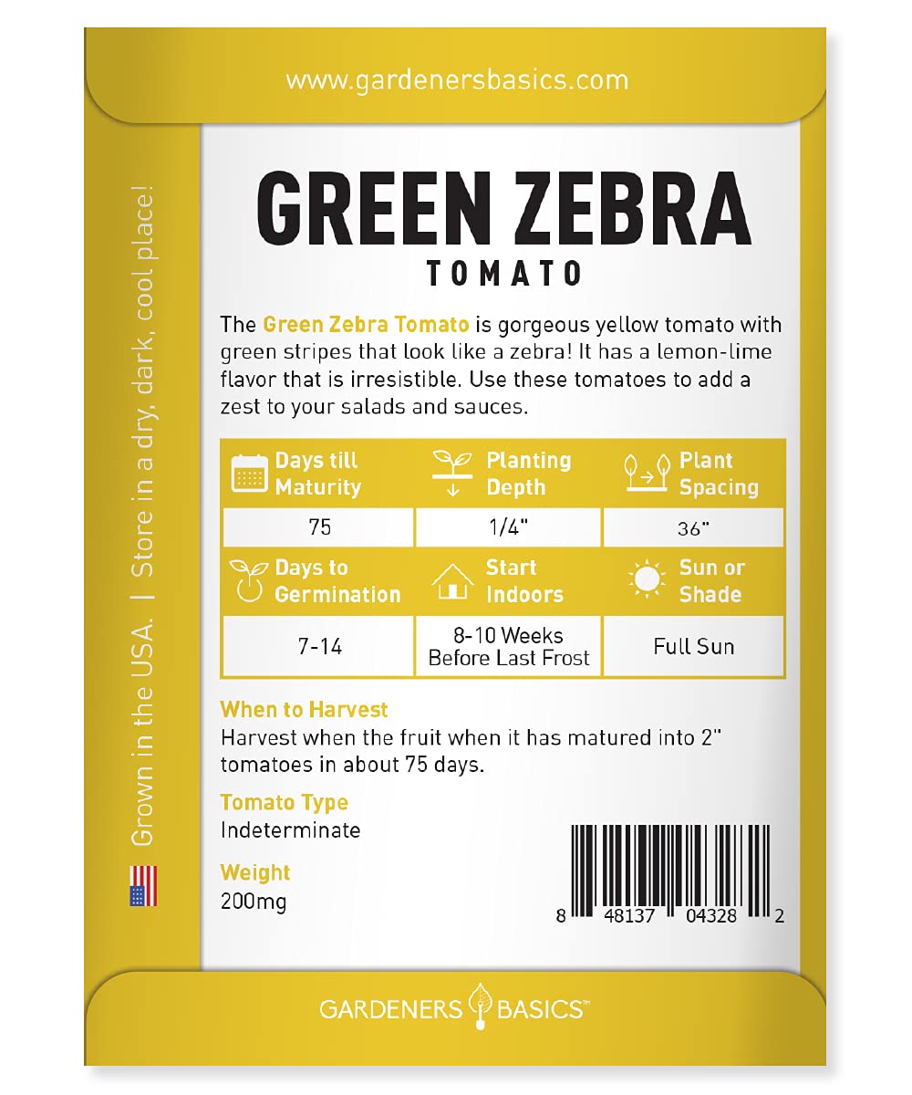 Gardeners Basics Green Zebra tomato fruit closeup, striped yellow goodness for fresh salads.