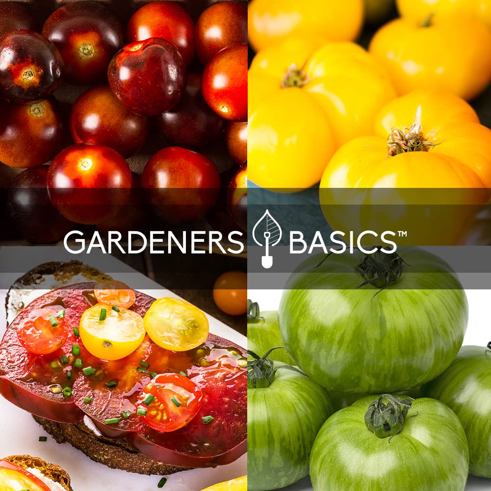 Gardeners Basics Green Zebra seeds for tart, striped fruit ideal for salads.