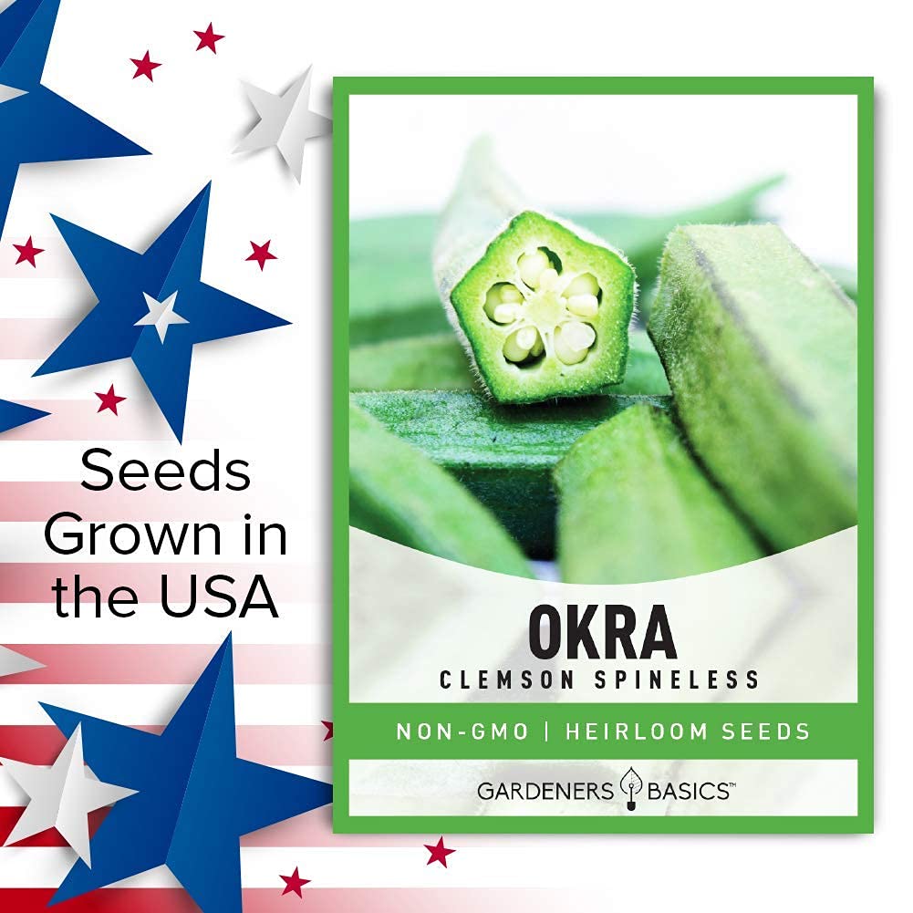 Gardeners Basics harvested okra pods ready to cook
