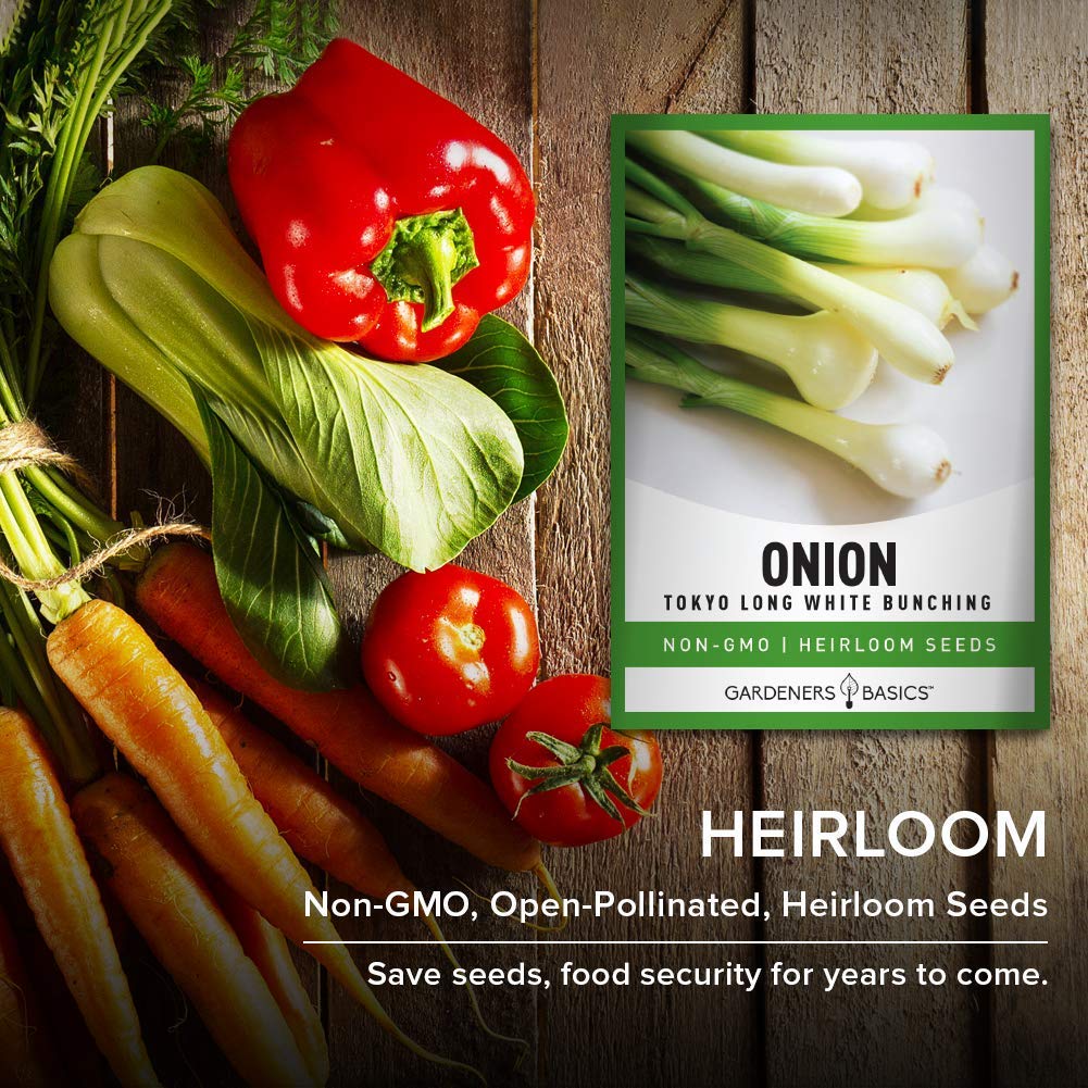 Gardeners Basics harvested green onion adds fresh flavor to salads.