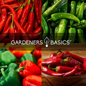 Gardeners Basics Hungarian Hot Wax seeds for planting, medium heat peppers