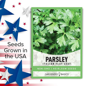 Indoor kitchen herb garden featuring Gardeners Basics Italian parsley plant.