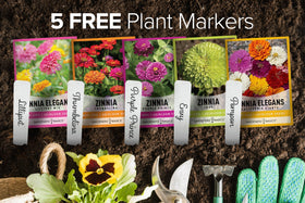 Gardeners Basics Lilliput zinnia seeds for compact beds that attract pollinators.
