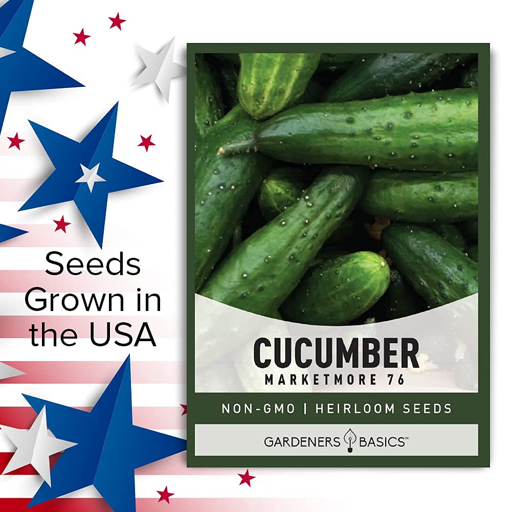 Gardeners Basics Marketomore 76 cucumber 1 gram seeds for compact packets.