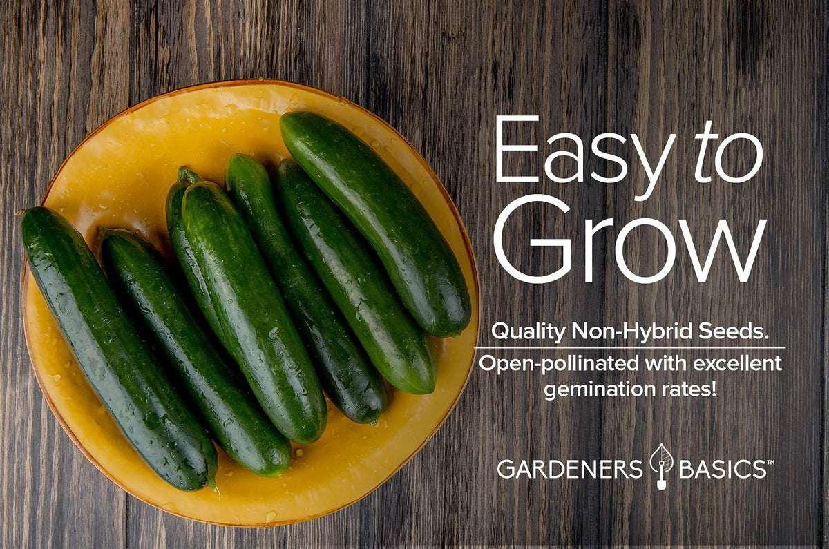 Gardeners Basics Marketmore 76 cucumber green slicing variety ideal for salads.