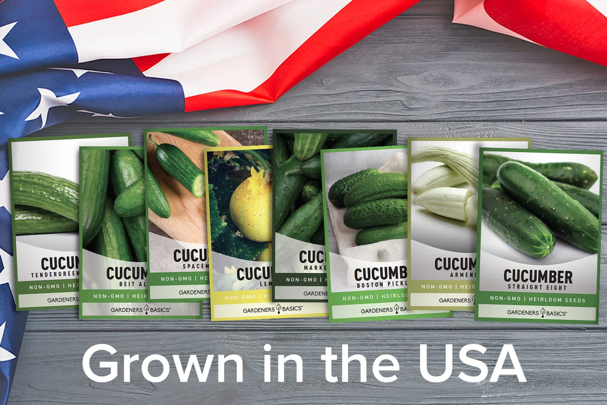 Gardeners Basics Marketmore 76 cucumber seeds for reliable garden yields.