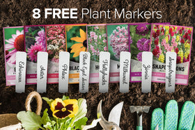 Gardeners Basics maximum mix snapdragons seeds pack, vertical interest for beds and pollinators.