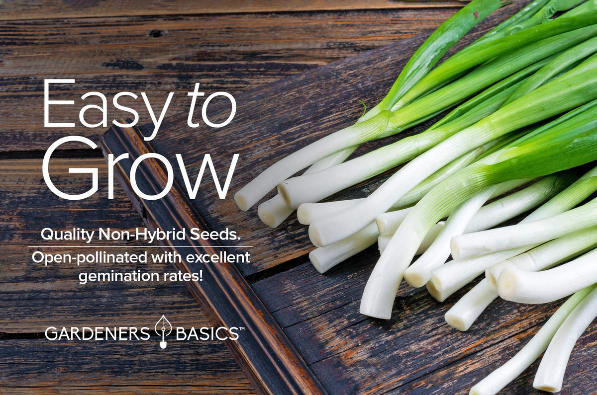 Gardeners Basics outdoor garden bed promotes versatile green onion production.