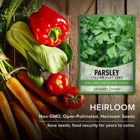 Parsley thriving in an aquaponic herb setup by Gardeners Basics.