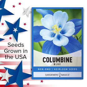 Gardeners Basics perennial blue columbine for year-after-year color