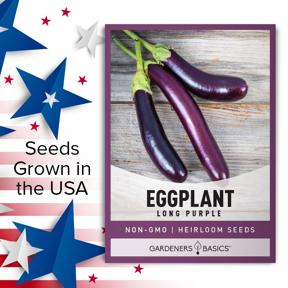 Gardeners Basics prolific eggplant crop thriving through summer.