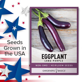Gardeners Basics prolific eggplant crop thriving through summer.