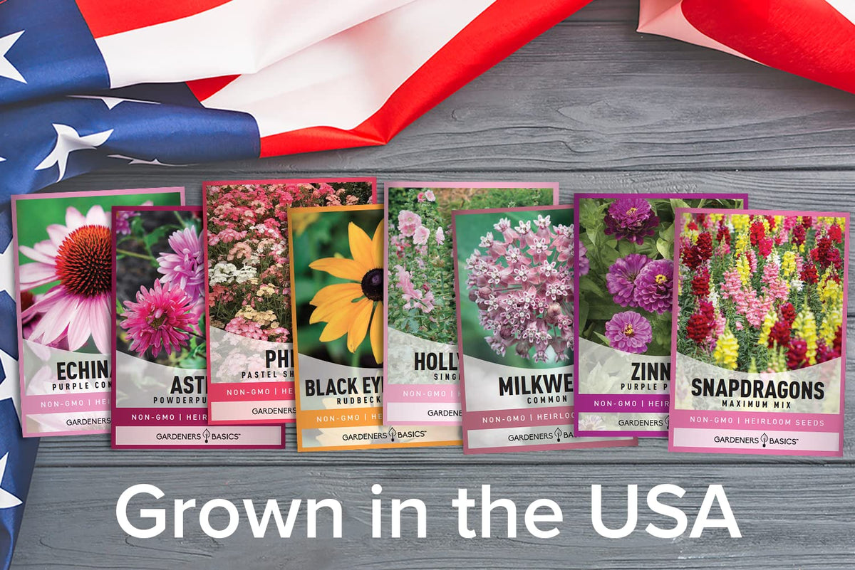 Gardeners Basics purple coneflower echinacea seeds pack, robust nectar source for butterflies.