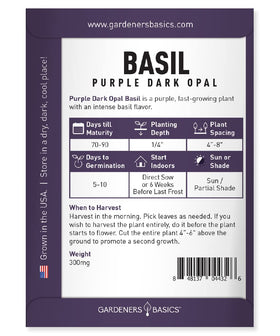 Gardeners Basics Purple Dark Opal Basil leaves during harvest, vibrant color and fresh aroma for meals