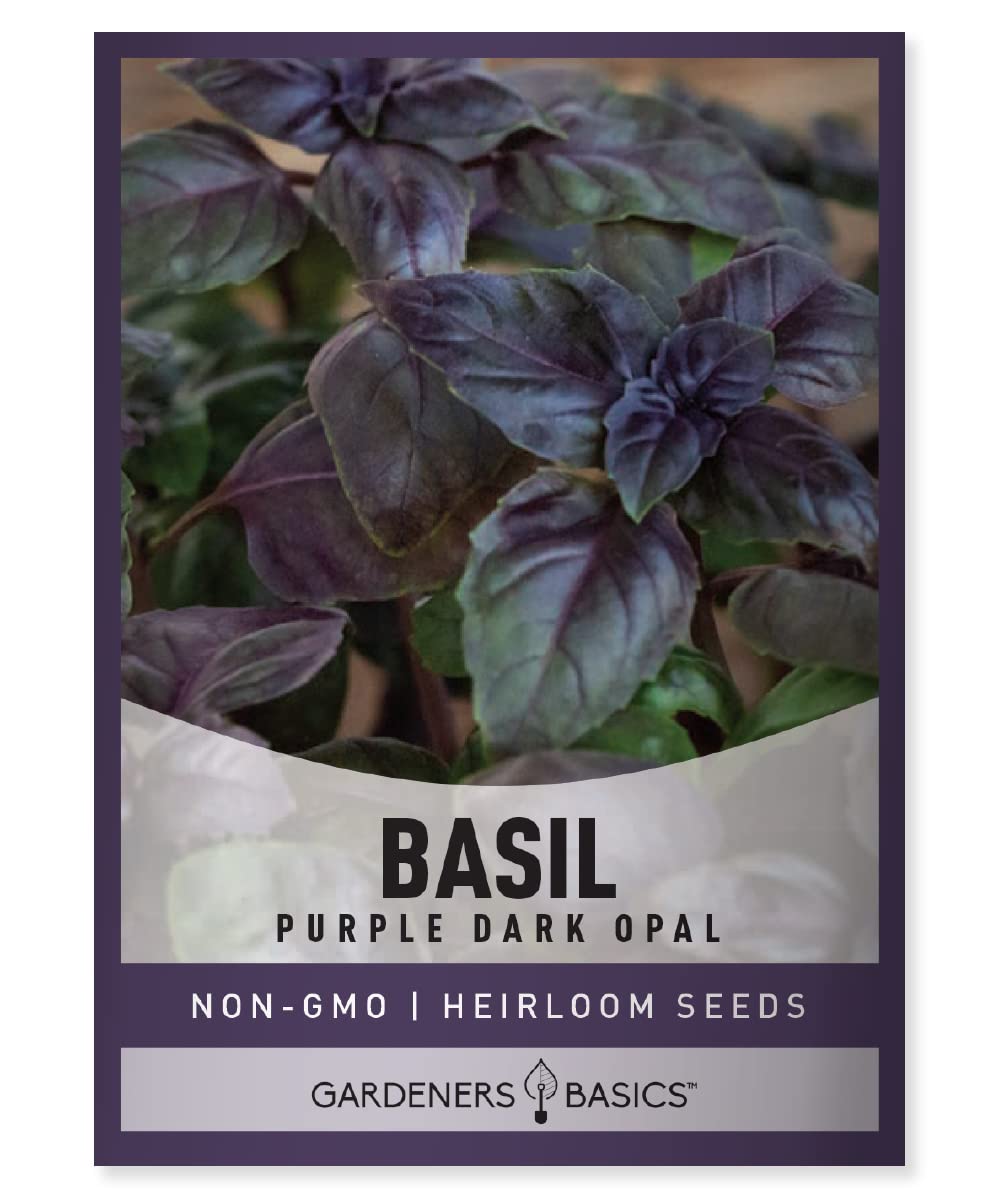 Gardeners Basics Purple Dark Opal Basil seeds packet, ideal for indoor and outdoor herb gardens