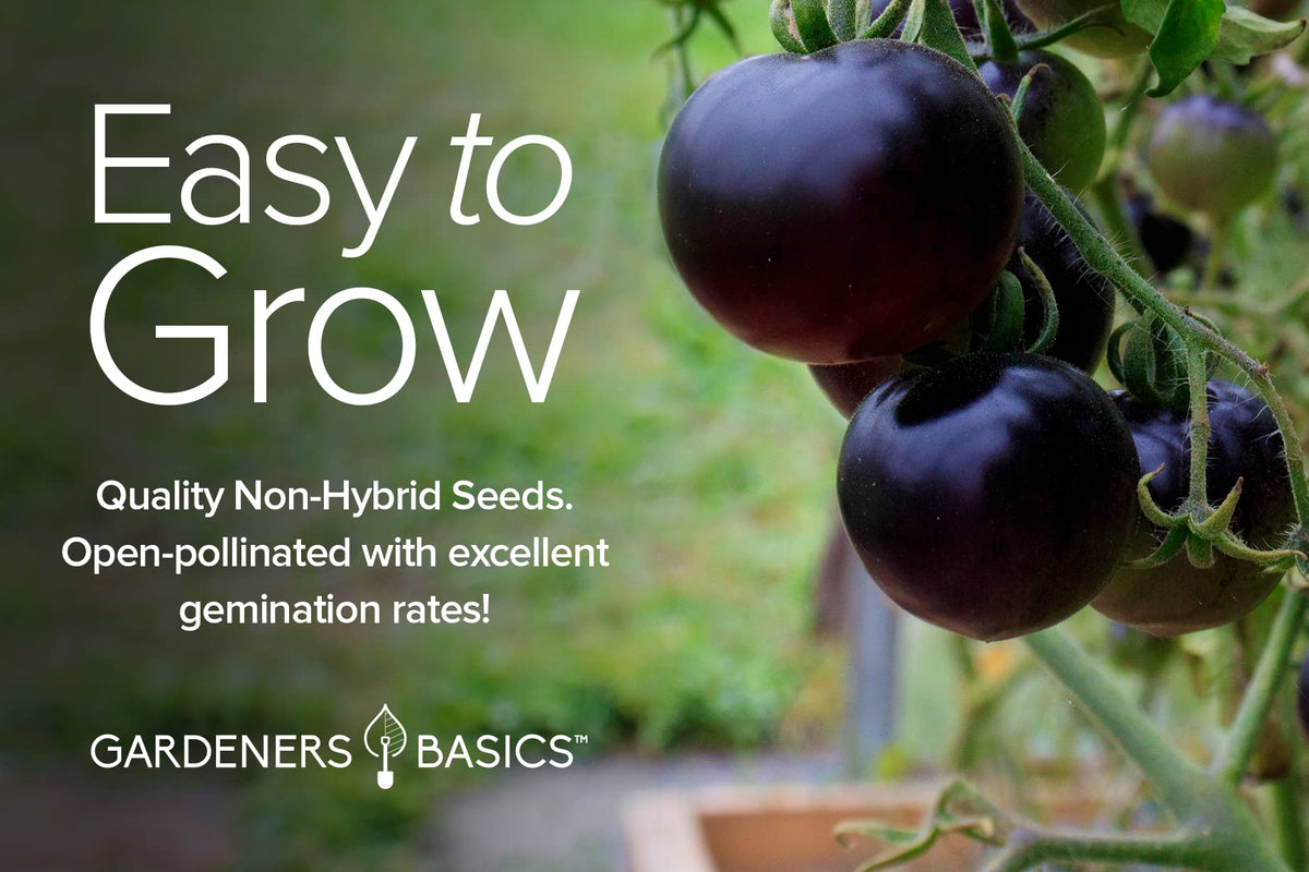 Gardeners Basics 5-variety heirloom seed pack for a diverse garden lineup.