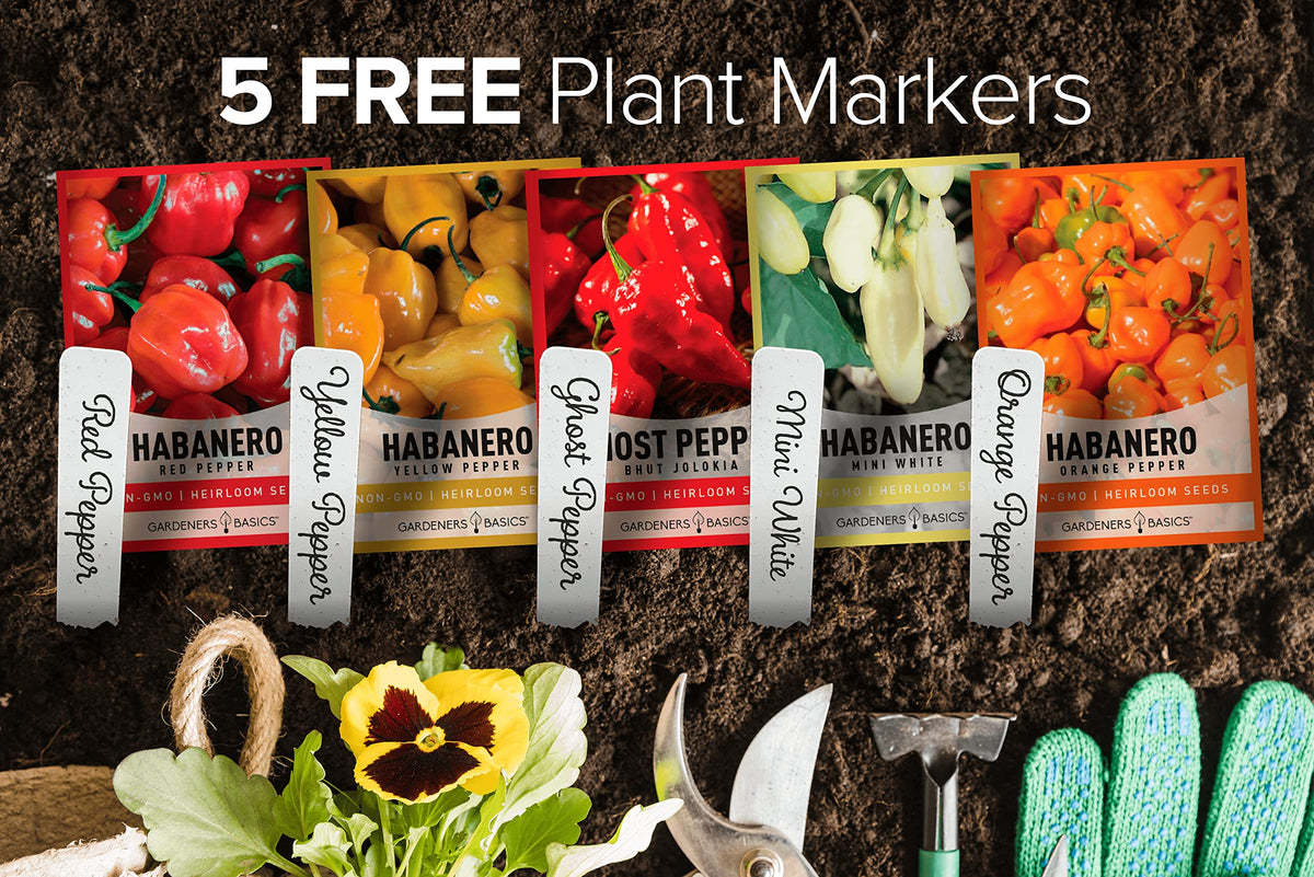 Gardeners Basics red habanero seeds pack for hot peppers and bright harvests