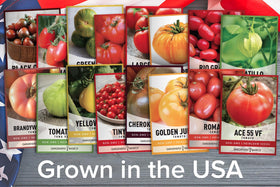 Gardeners Basics Roma VF tomato seeds for paste and disease resistance.