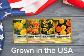 Gardeners Basics Seed packet with water-resistant label keeps seeds organized.