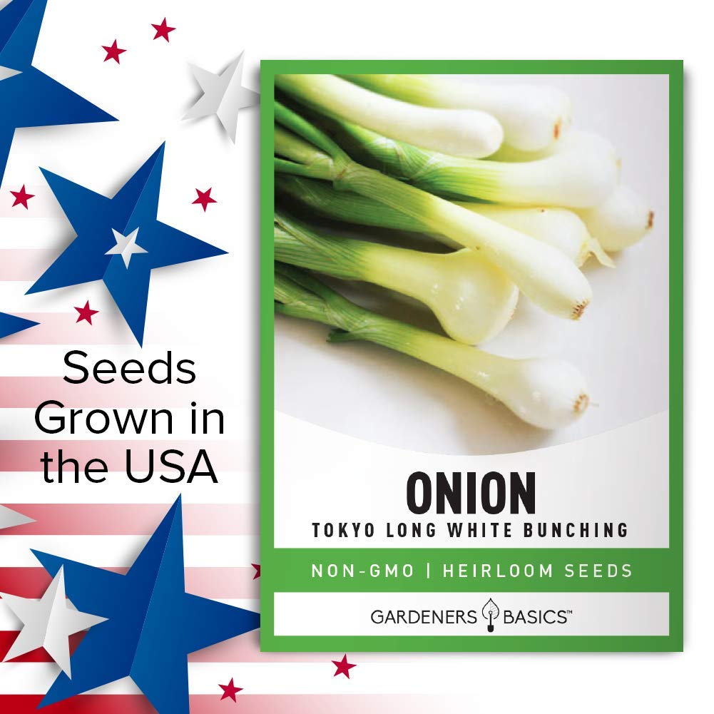Gardeners Basics seed-saving heirloom onions for year-round gardening.