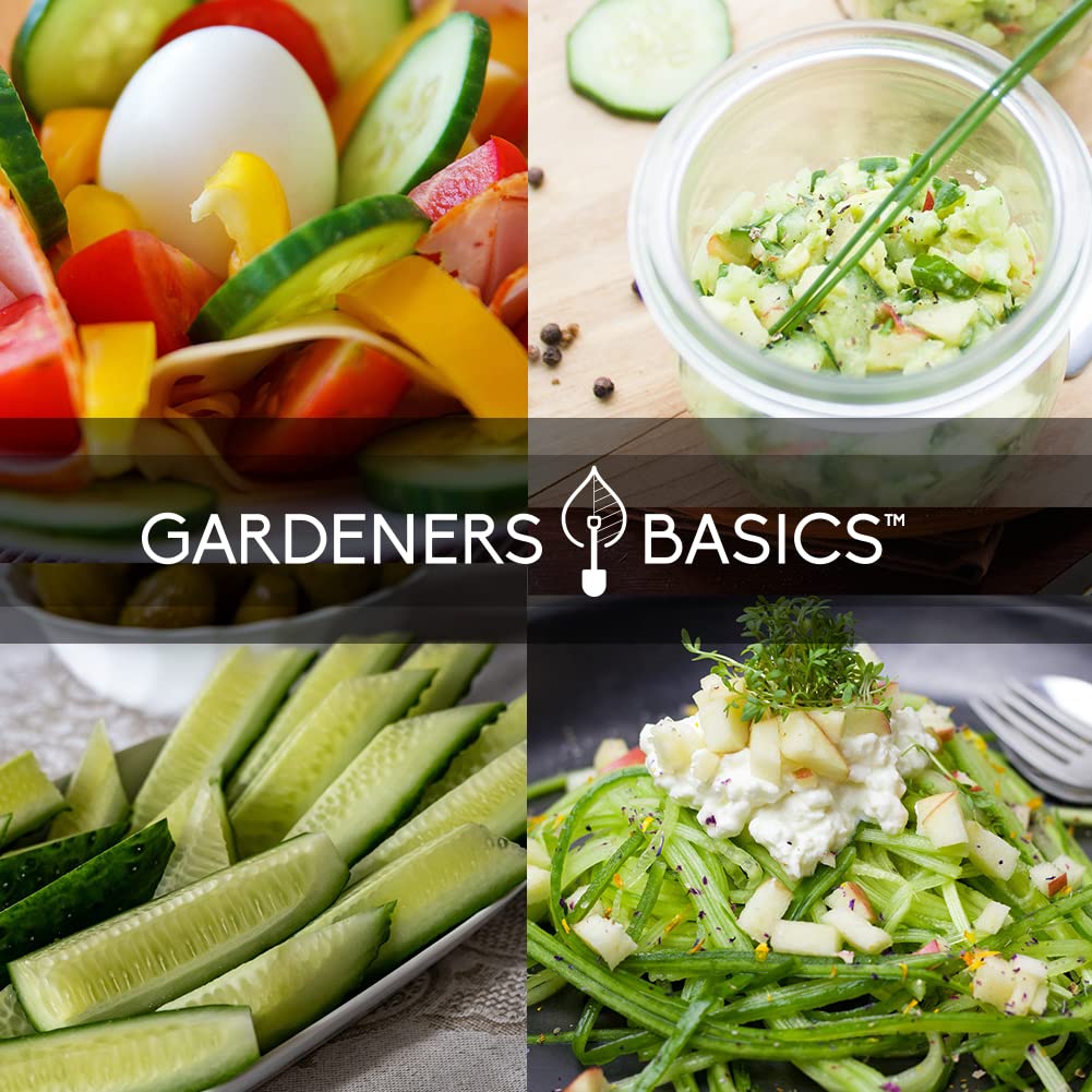 Gardeners Basics Spacemaster cucumber seeds ideal for small spaces.