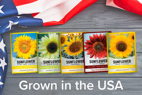 Gardeners Basics Sunflower Garden bursting with color and tall stems.