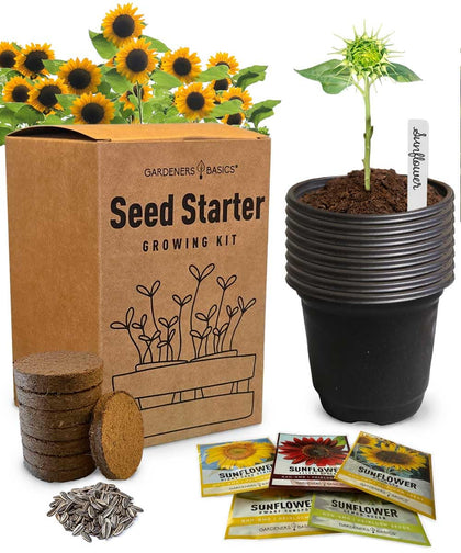 Gardeners Basics Sunflower Kit box display with five heirloom seeds for pollinators.